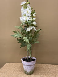 Deplenium Plant - 27" Tall
